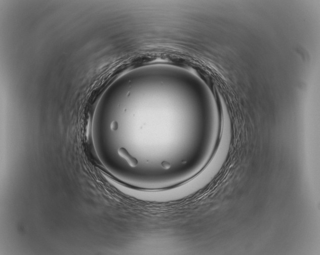 X0000113590965200909181328