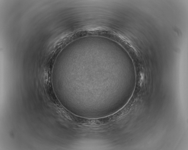 X0000113590966200909181328