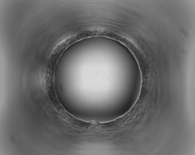 X0000113590967200909181328