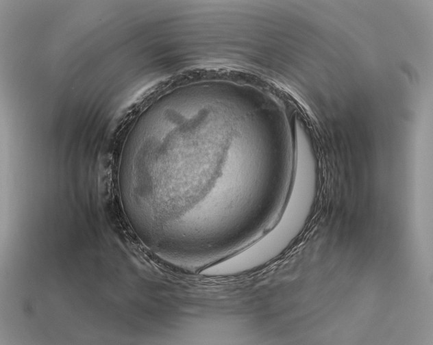 X0000113590968200909181328