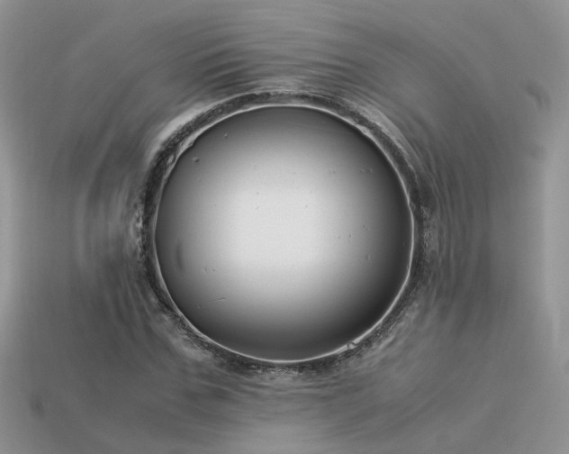 X0000113590971200909181328