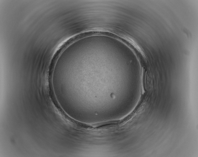 X0000113590972200909181328