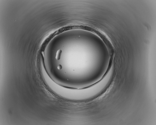 X0000113590973200909181328