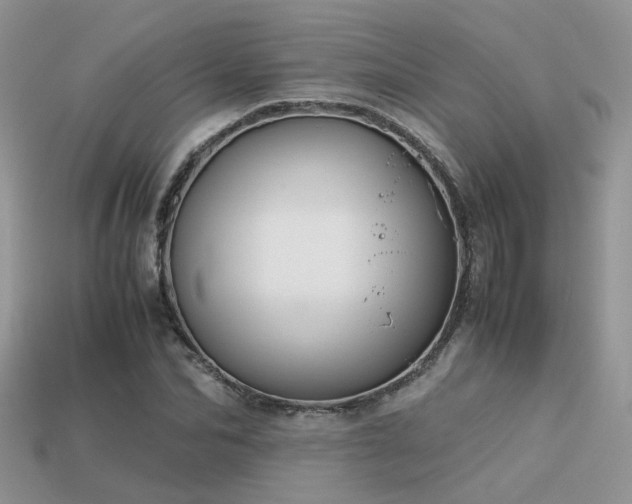 X0000113590974200909181328