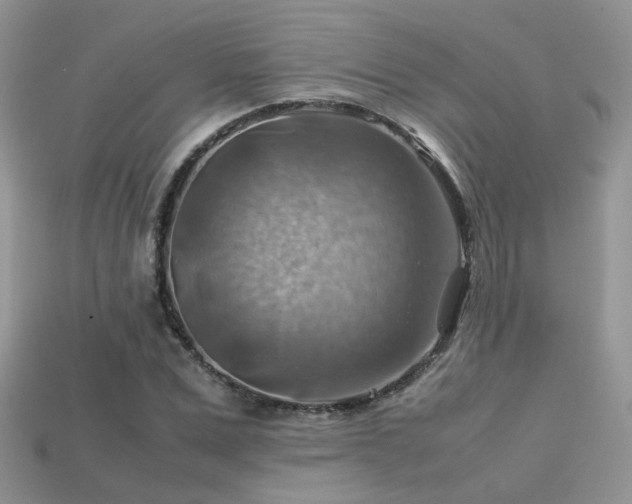 X0000113590975200909181328