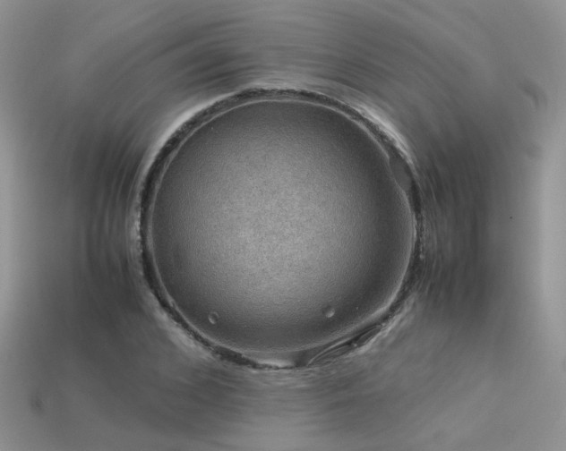 X0000113590976200909181328