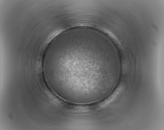 X0000113590977200909181328