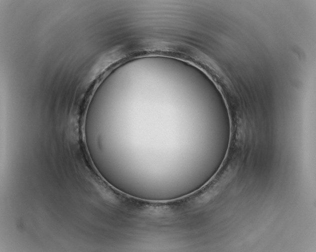 X0000113590978200909181328