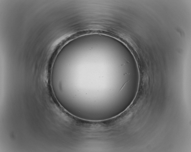 X0000113590979200909181328