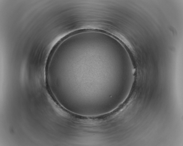 X0000113590980200909181328