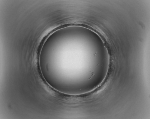 X0000113590981200909181328