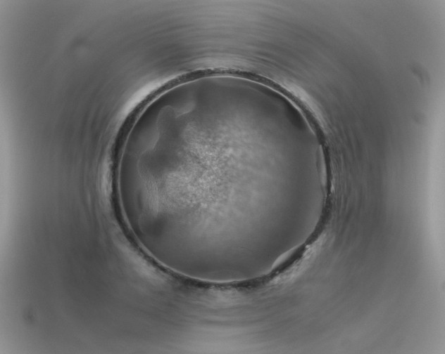 X0000113590983200909181328