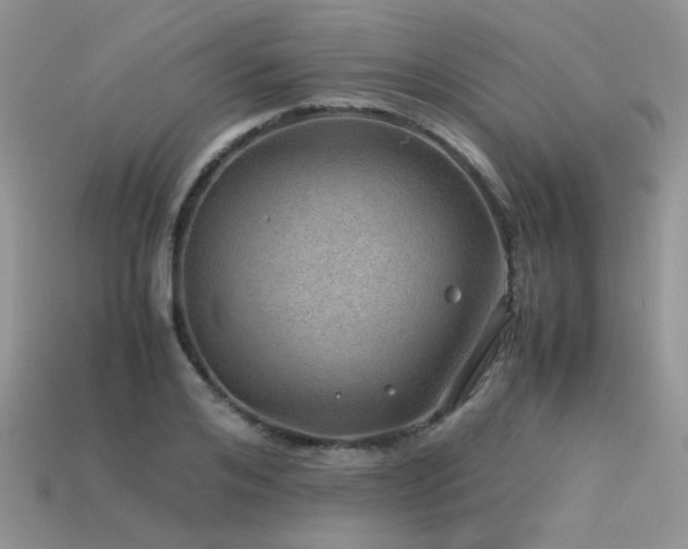 X0000113590984200909181328