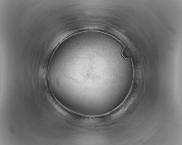 X0000113590985200909181328