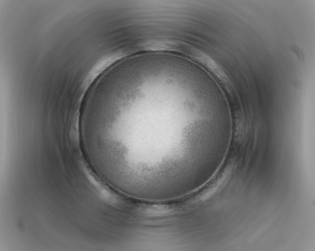 X0000113590986200909181328