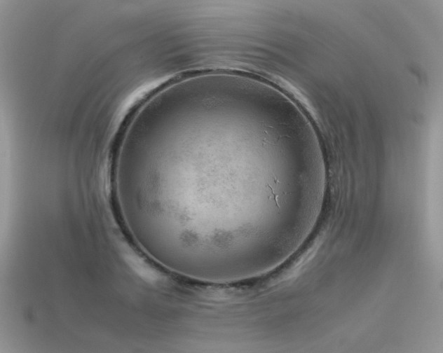 X0000113590987200909181328