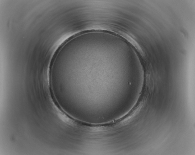 X0000113590988200909181328