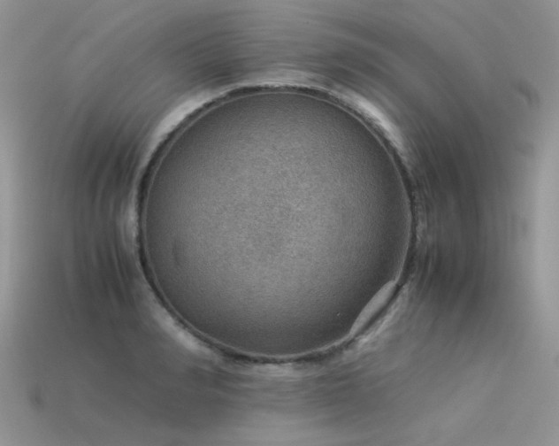 X0000113590990200909181328