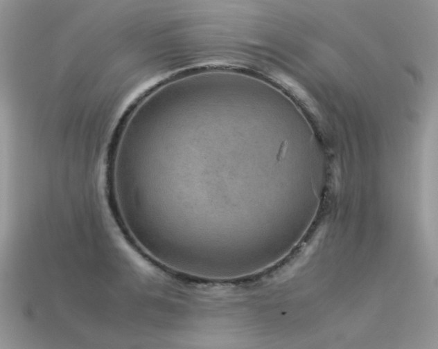 X0000113590991200909181328