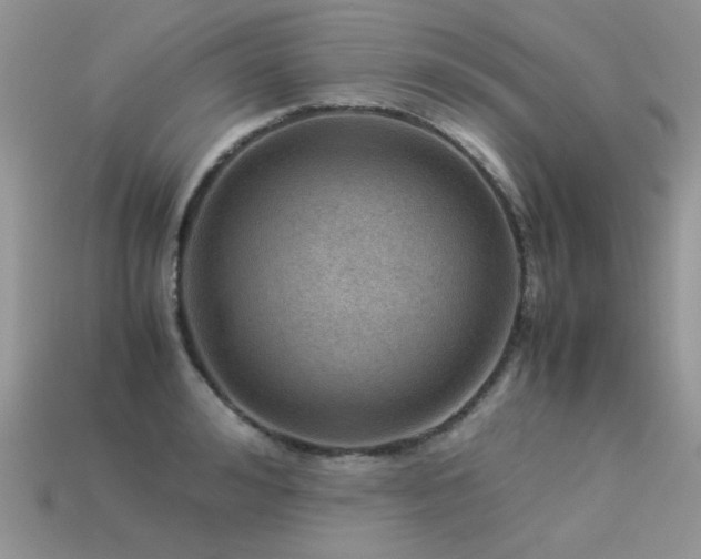 X0000113590992200909181328