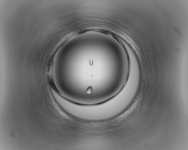 X0000113590993200909181328