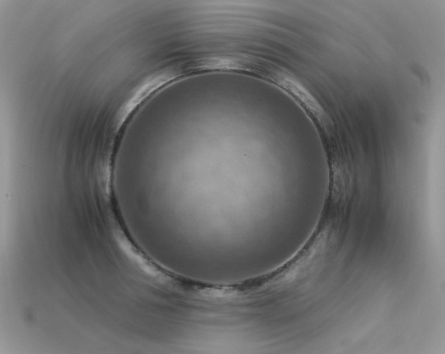 X0000113590994200909181328