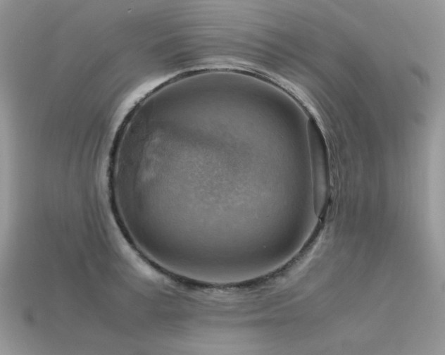 X0000113590995200909181328