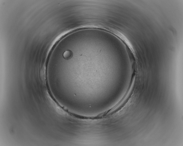 X0000113590996200909181328