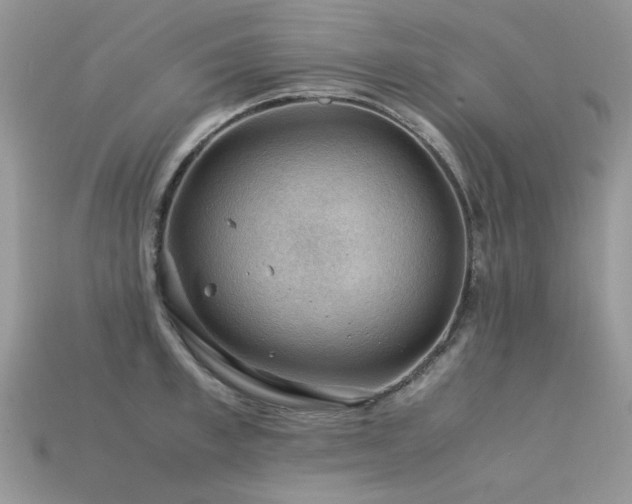 X0000113590997200909181328