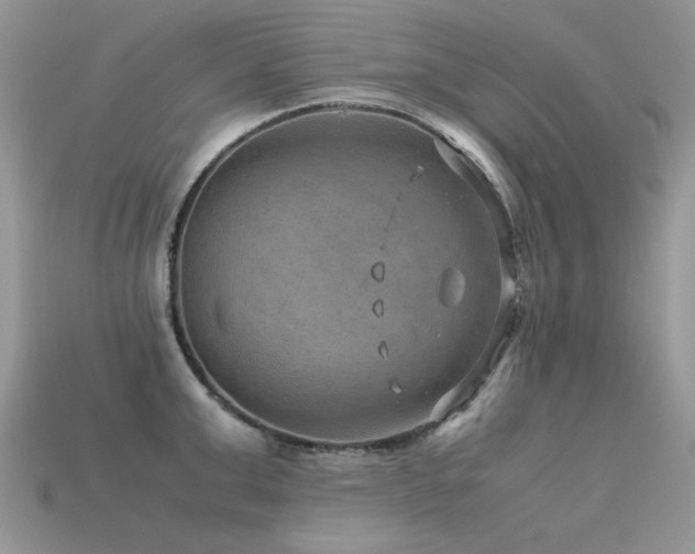 X0000113590999200909181328