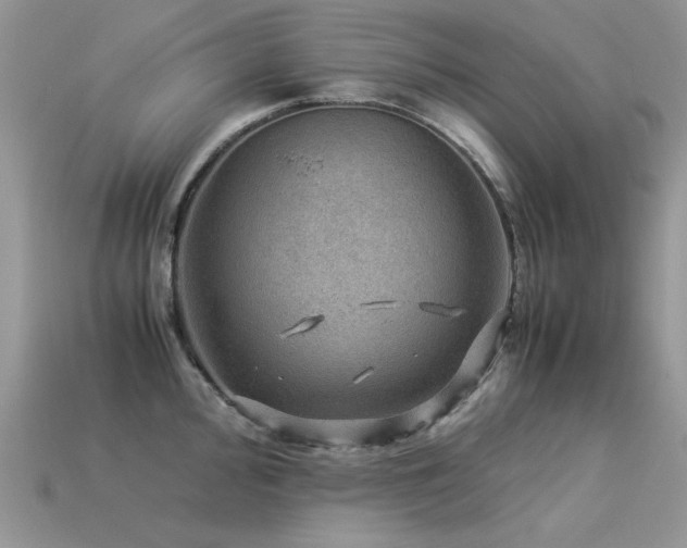 X0000113591000200909181328