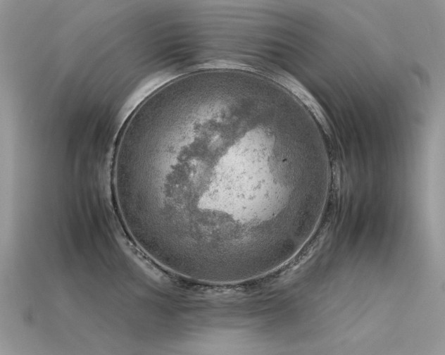 X0000113591002200909181328