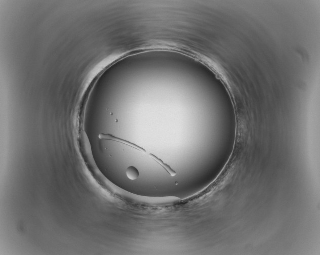 X0000113591003200909181328