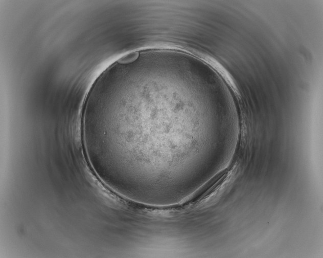 X0000113591004200909181328