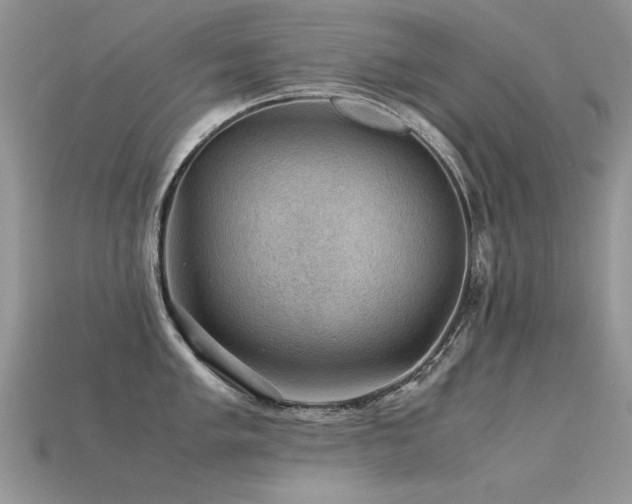 X0000113591005200909181328