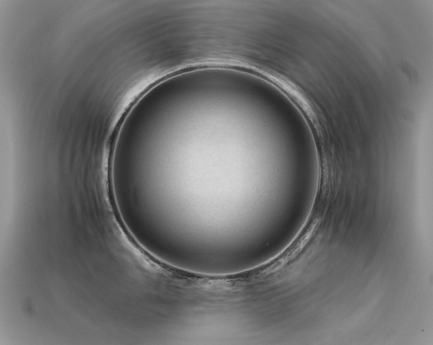 X0000113591006200909181328