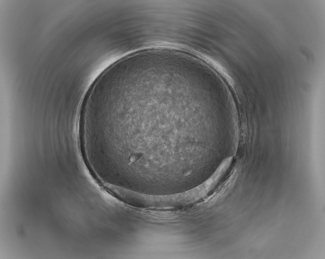 X0000113591007200909181328