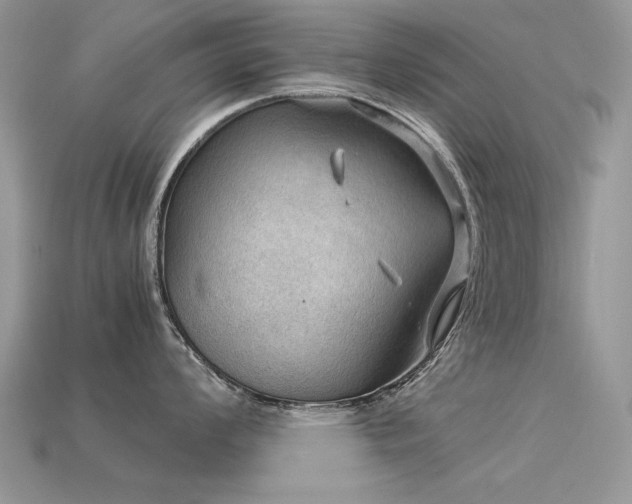 X0000113591008200909181328