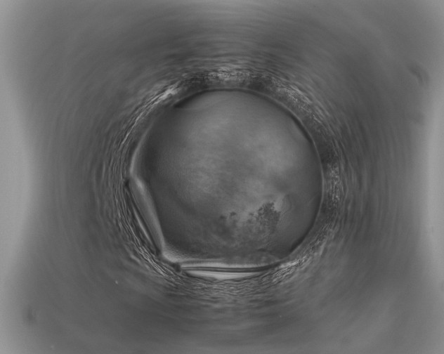 X0000113591009200909181327