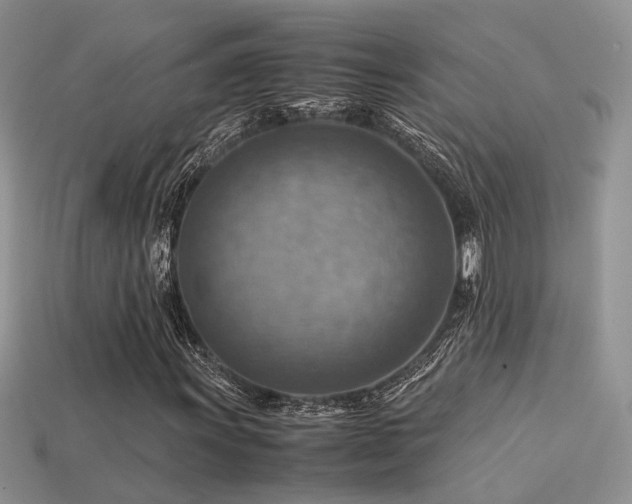 X0000113591011200909181327