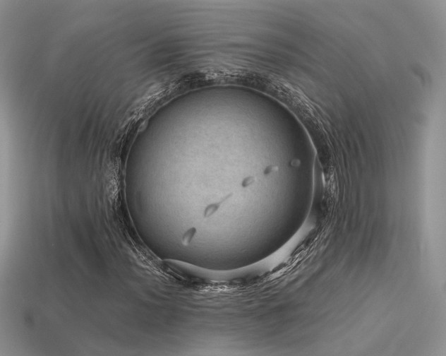 X0000113591012200909181327