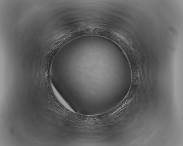 X0000113591013200909181327