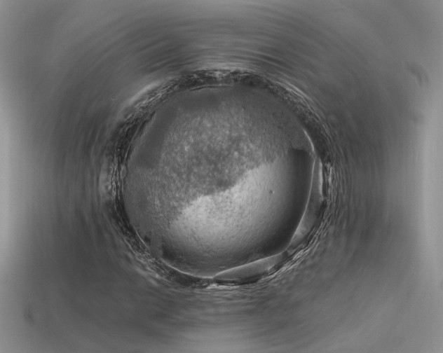 X0000113591014200909181327