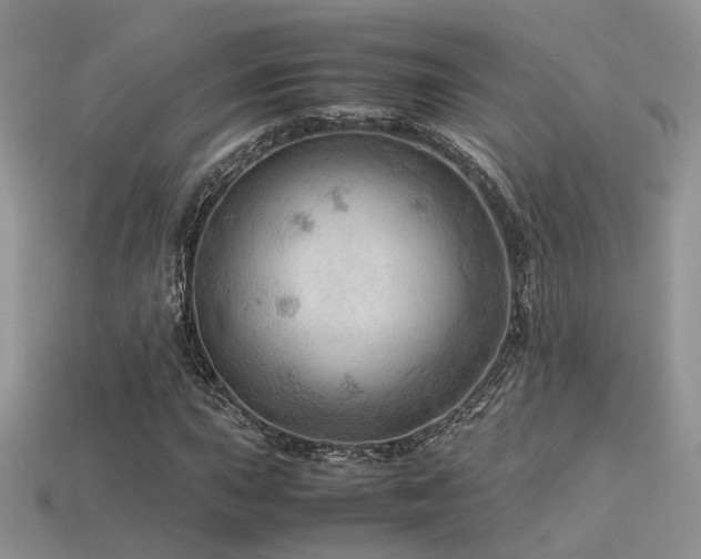 X0000113591015200909181327