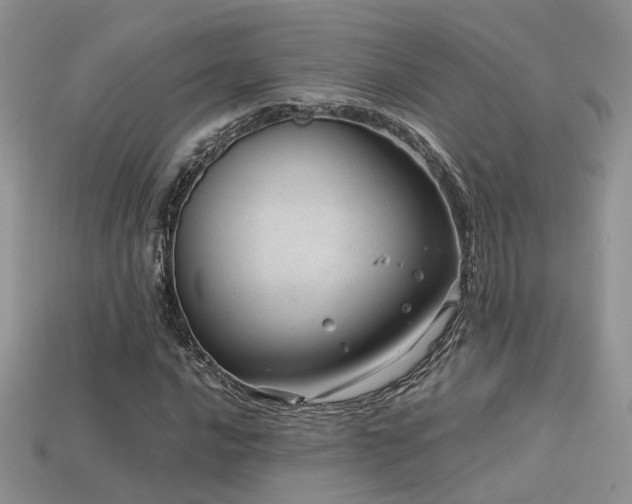 X0000113591016200909181327