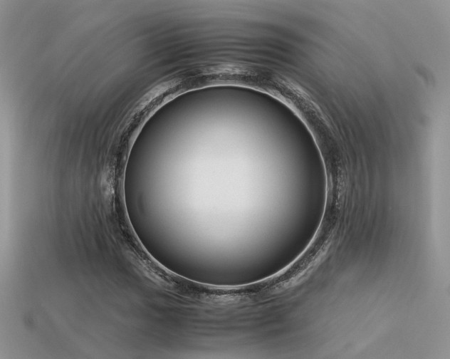 X0000113591017200909181327