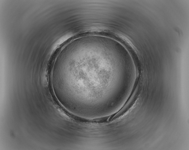 X0000113591018200909181327