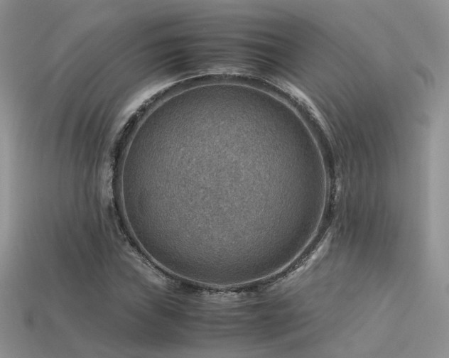 X0000113591019200909181327