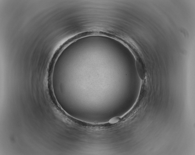 X0000113591020200909181327