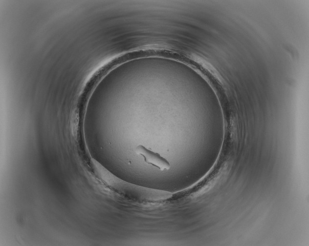 X0000113591021200909181327